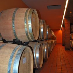 cantina11 20191018