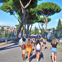 aventino5 20190703 aventino5 20190703