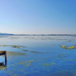 orbetello13 20220325 orbetello13 20220325