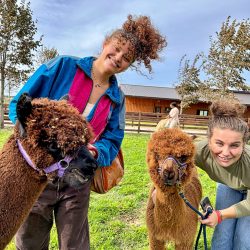 alpaca15 20231027 alpaca15 20231027