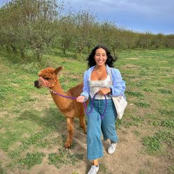 alpaca16 20231027 alpaca16 20231027