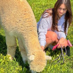 alpaca5 20240412 alpaca5 20240412