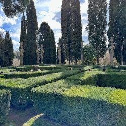 maze farnese